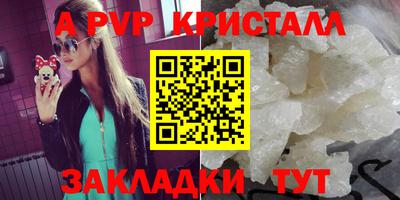 стаф Кунгур