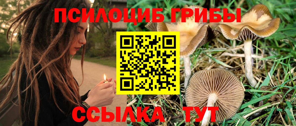 Ессентуки  Псилоцибиновые грибы MAGIC MUSHROOMS  Вход с VPN 